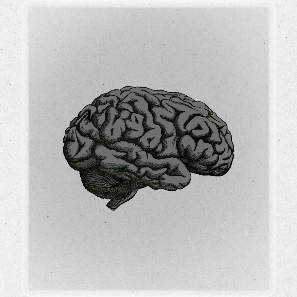 © 2025 ØUT$!DΞR™ — A Young Alpha™ Movement. All Rights Reserved.